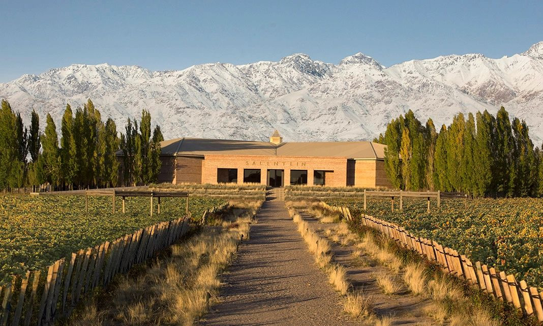Bodega Salentein entre viñedos con la cordillera nevada de fondo