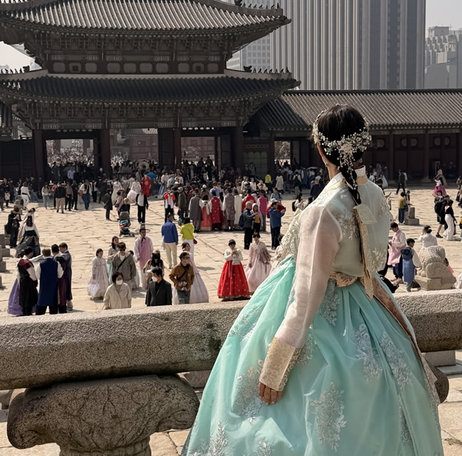 Japón y Corea del Sur, marzo de 2026 - Amo Psicoyoga