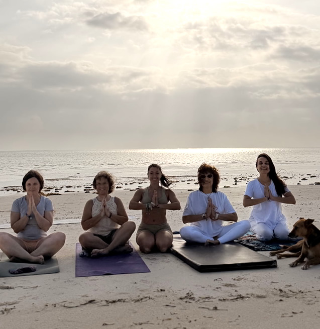 Sudáfrica y África del Este, enero de 2026 - Amo Psicoyoga